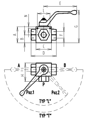RSAP3V
